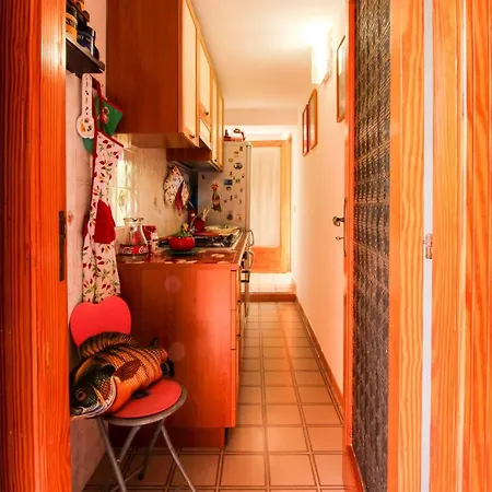 Apartment Lantana *